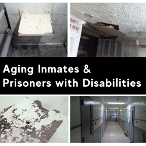 Aging Inmates and Prisoners with Disabilities. Images from a state facility condition assessment at Pontiac Correctional Center show holes in ceilings and walls, chipping paint, dilapidated floors and showers. 